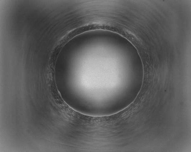 X0000073950776200608281214