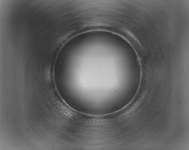 X0000073950777200608281214