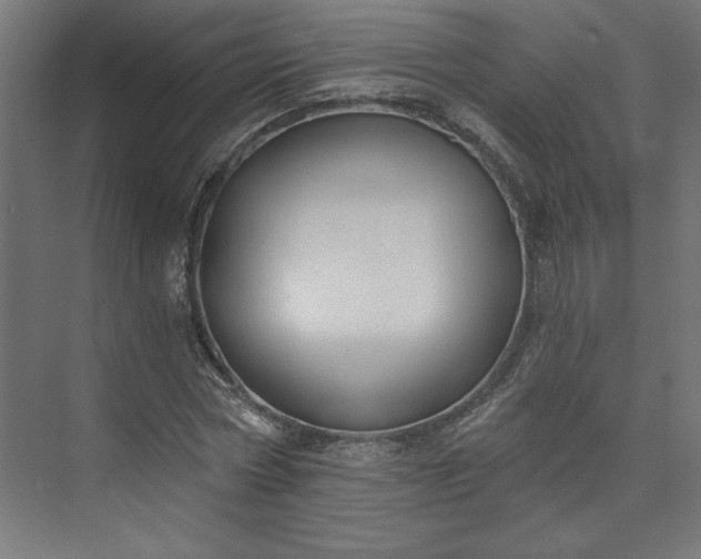 X0000073950778200608281214