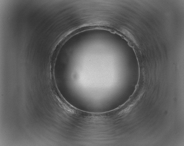 X0000073950781200608281214