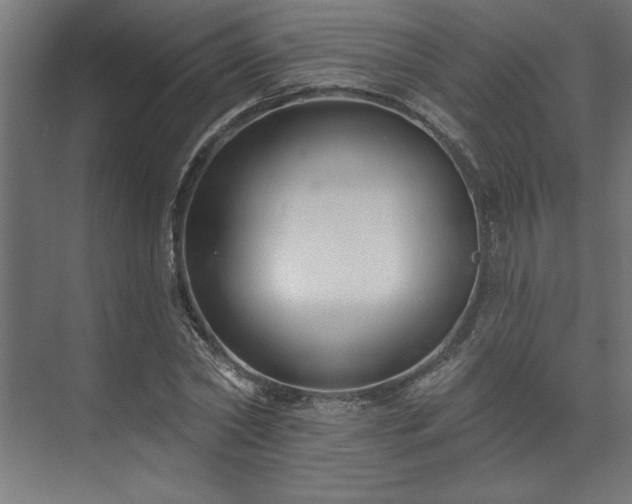 X0000073950782200608281214