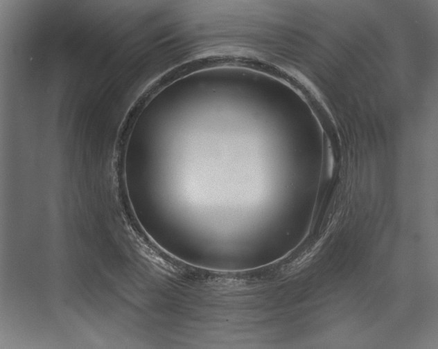 X0000073950783200608281214