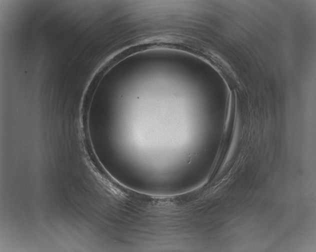 X0000073950784200608281214