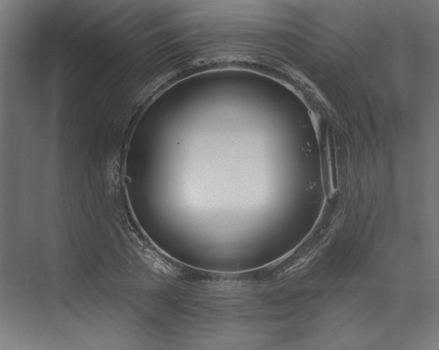 X0000073950785200608281214