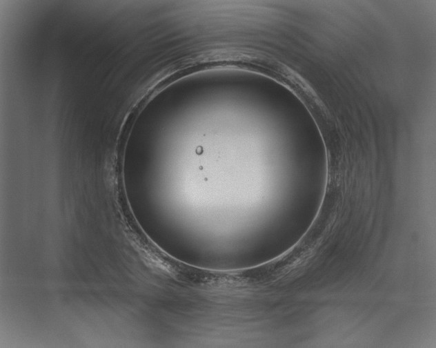 X0000073950786200608281214