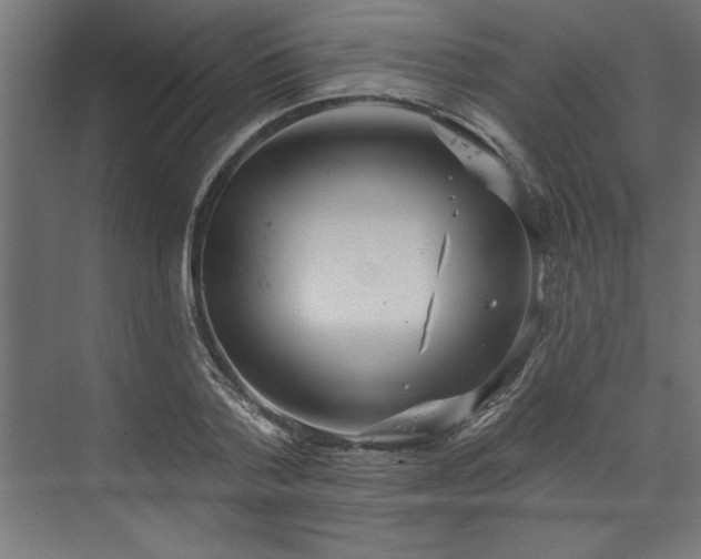 X0000073950788200608281214