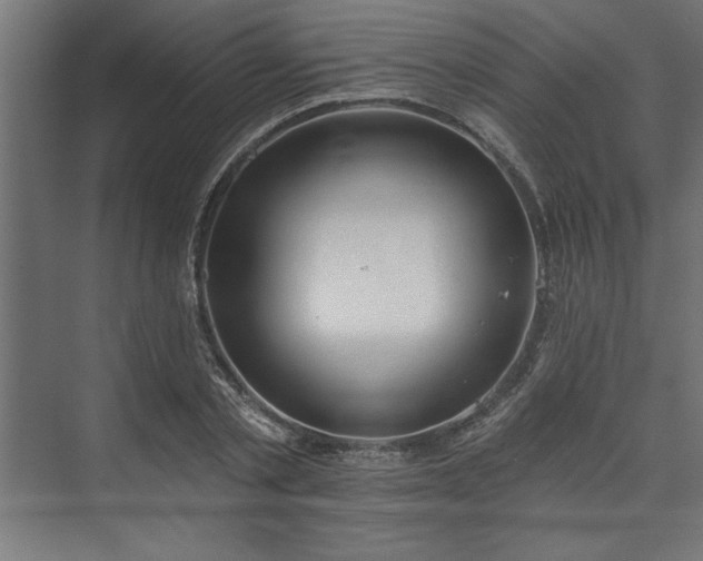 X0000073950789200608281214