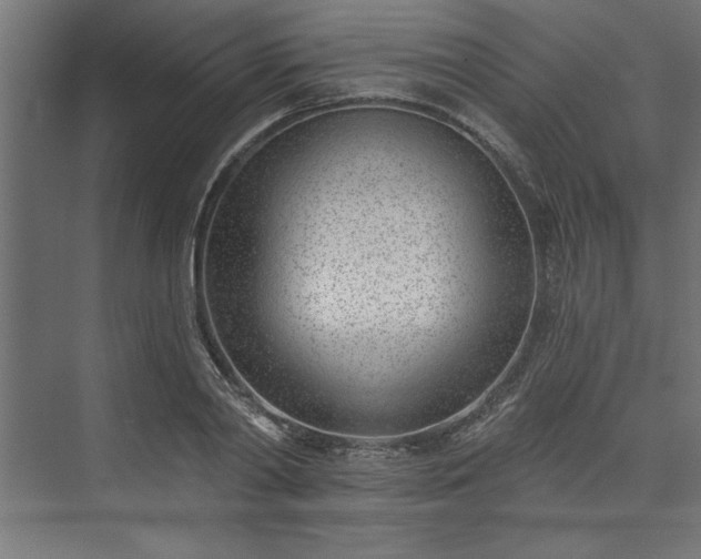 X0000073950790200608281214