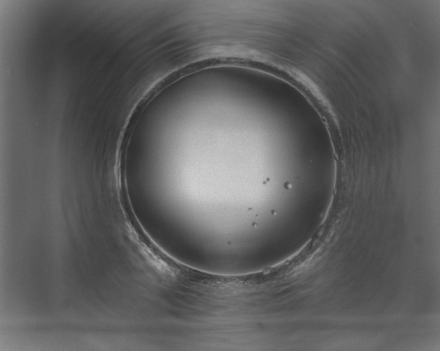 X0000073950791200608281214