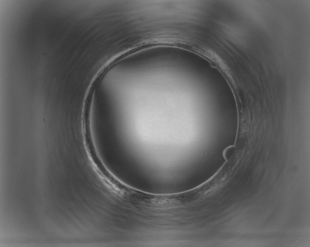 X0000073950795200608281214