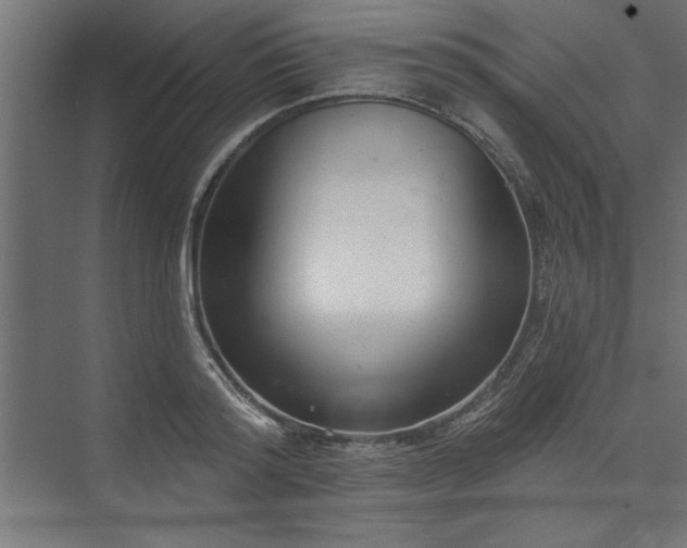 X0000073950796200608281214