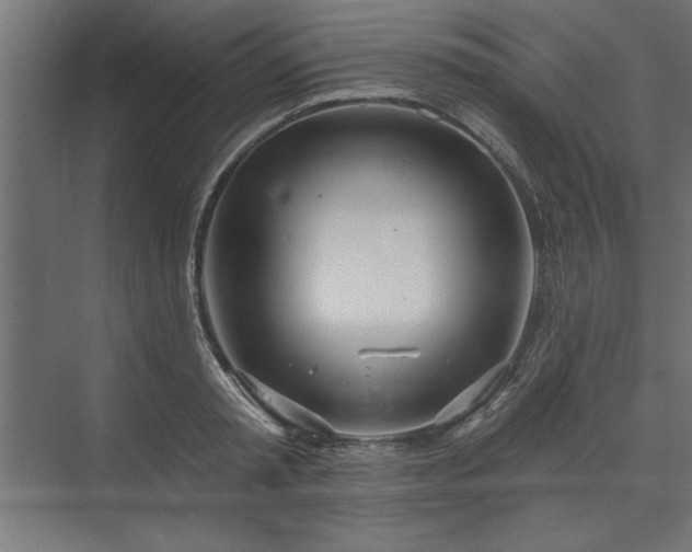 X0000073950797200608281214