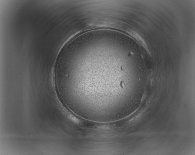 X0000073950798200608281214