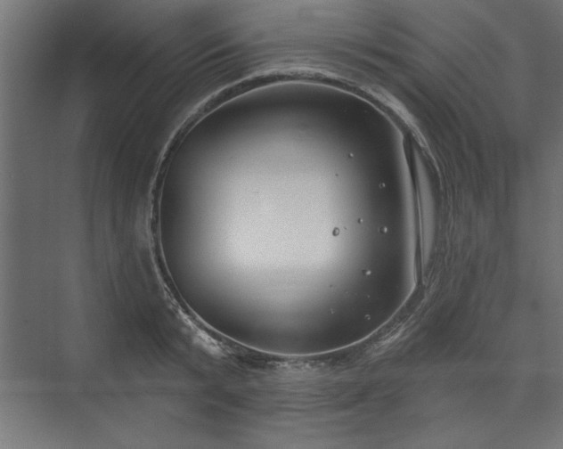 X0000073950799200608281214