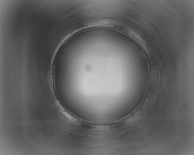 X0000073950800200608281214