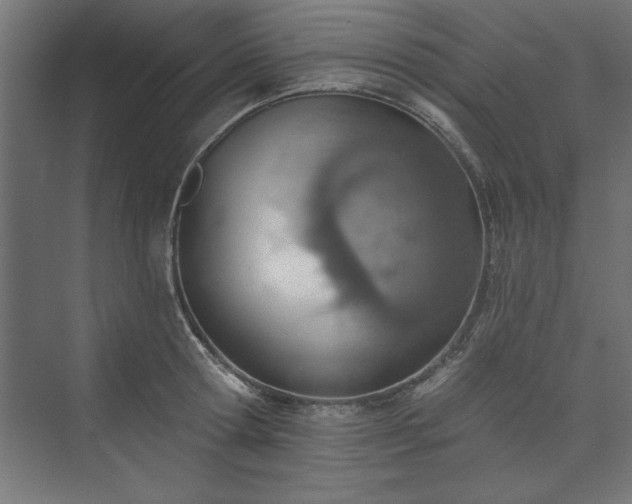 X0000073950802200608281214