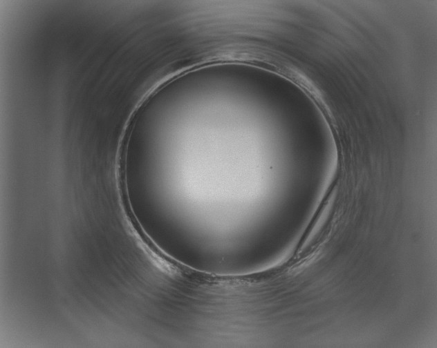 X0000073950803200608281214