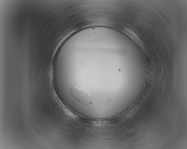 X0000073950804200608281213