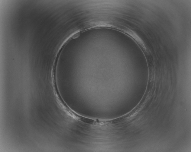 X0000073950806200608281213