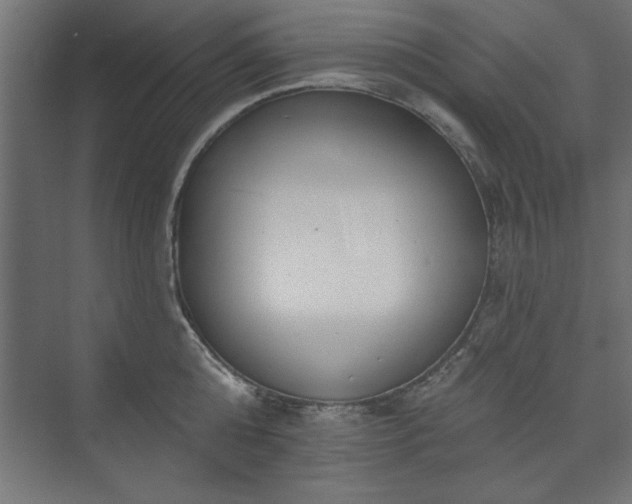 X0000073950808200608281213