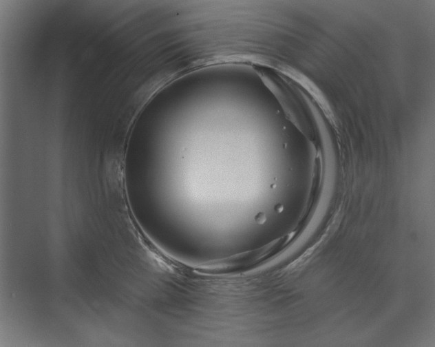 X0000073950809200608281213