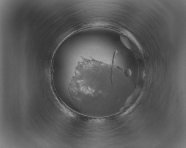 X0000073950810200608281213