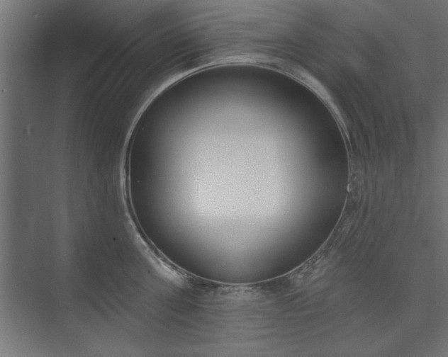 X0000073950811200608281213