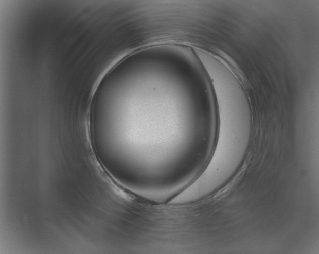 X0000073950812200608281213