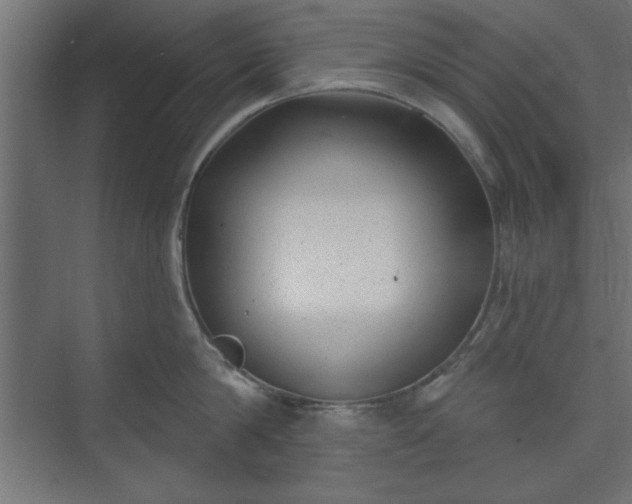 X0000073950814200608281213