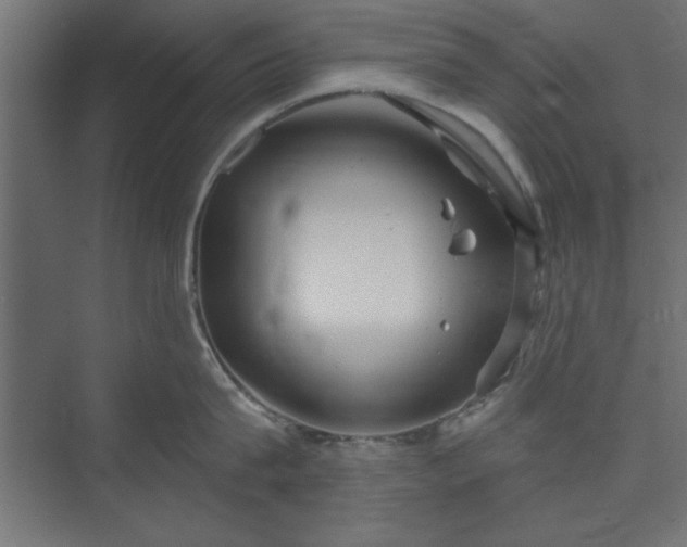 X0000073950815200608281213