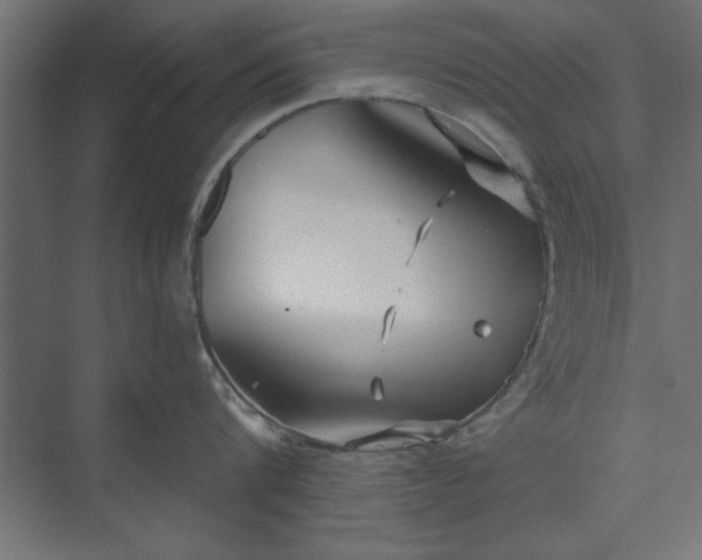 X0000073950816200608281213