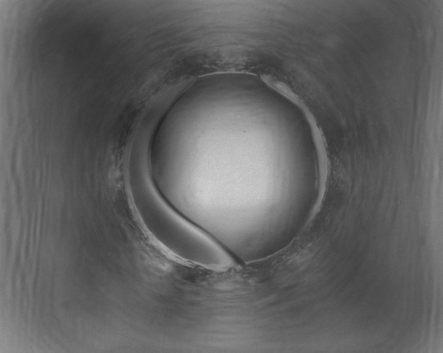 X0000073950818200608281212