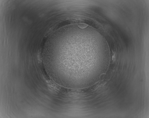 X0000073950819200608281212