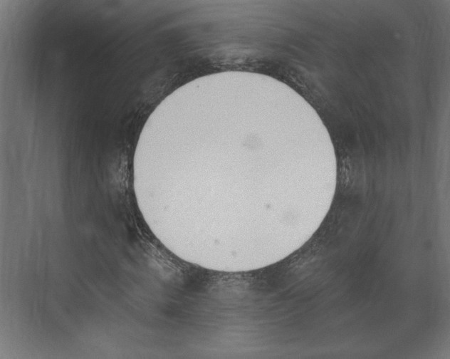 X0000073950820200608281213