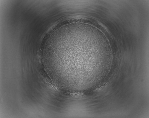 X0000073950823200608281213