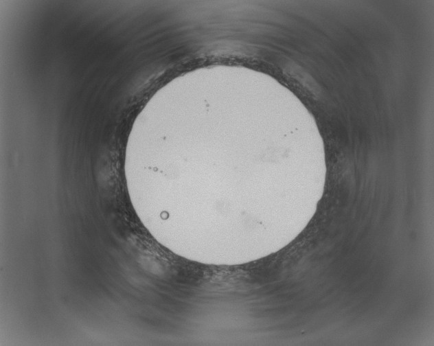 X0000073950824200608281213