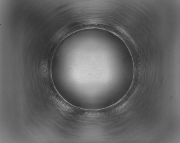 X0000073950825200608281213