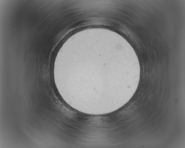 X0000073950828200608281213