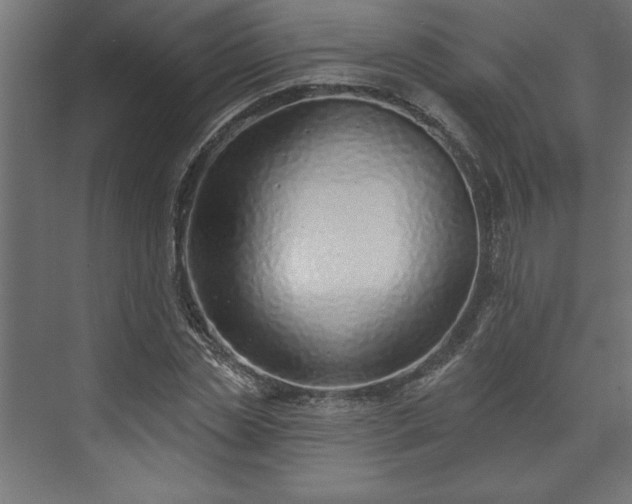 X0000073950829200608281213