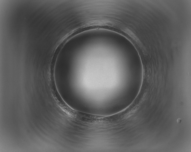 X0000073950834200608281213