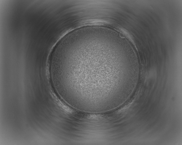 X0000073950835200608281213