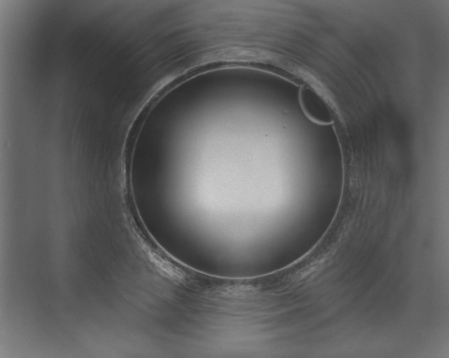 X0000073950837200608281213