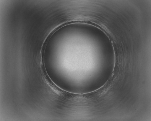 X0000073950838200608281213