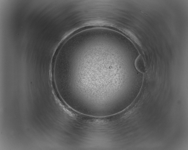 X0000073950839200608281213