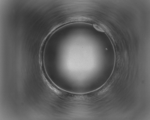 X0000073950843200608281213