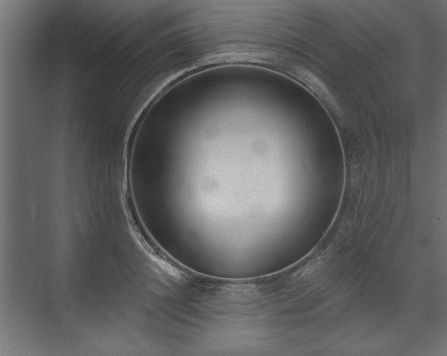 X0000073950844200608281213