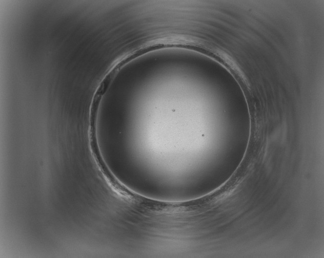 X0000073950845200608281213