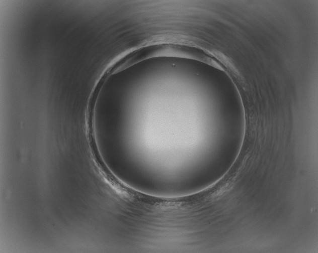 X0000073950846200608281213