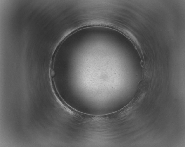 X0000073950847200608281213