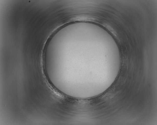 X0000073950848200608281213